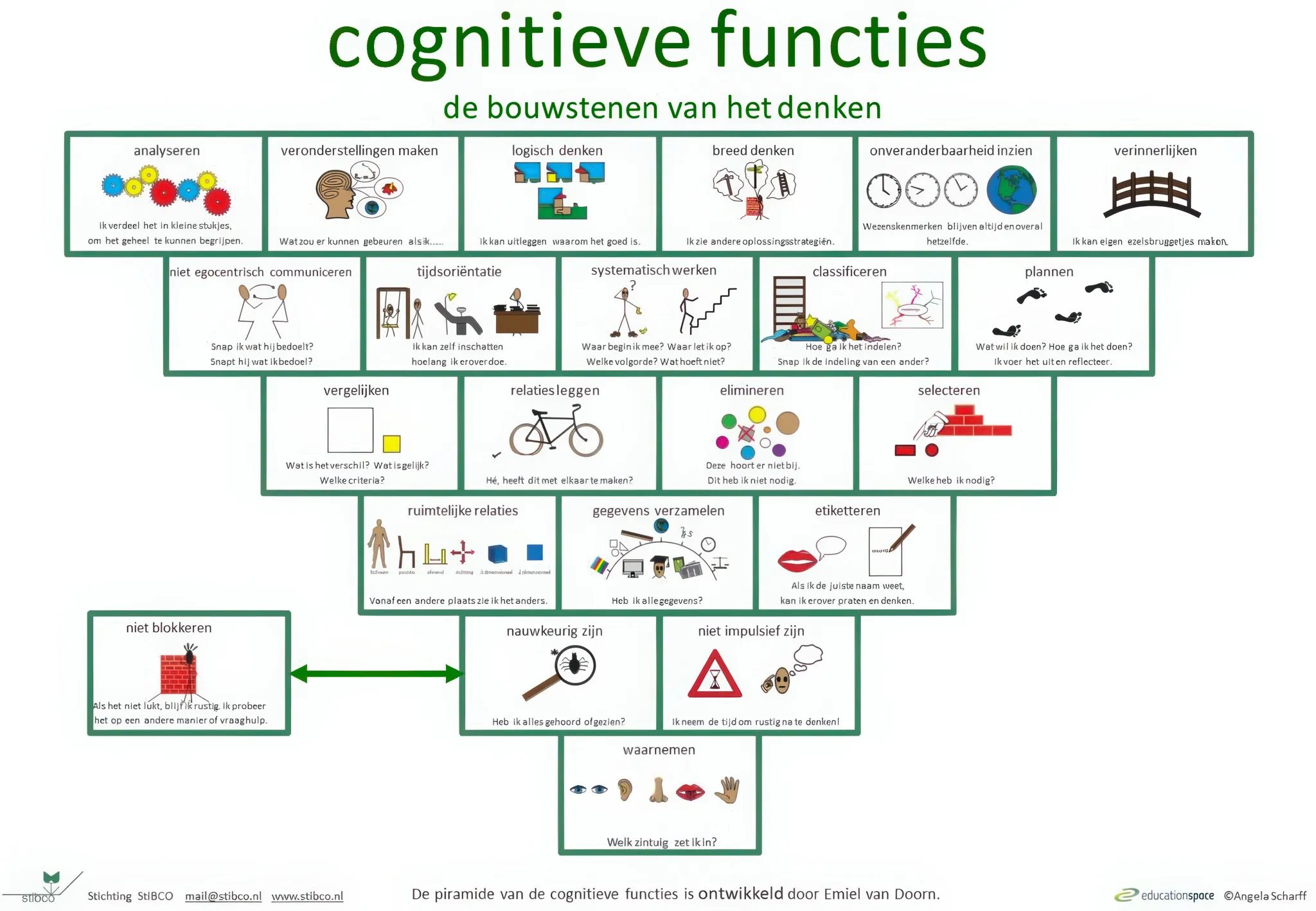 Cognitieve_funcite_piramide_EvD